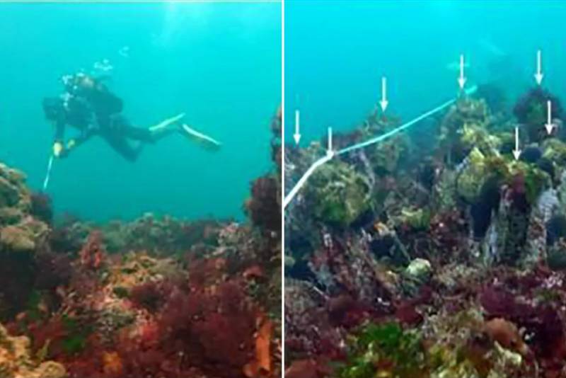 Ancient undersea wall found off French coast