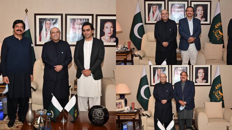 President Zardari meets PPP leaders, reviews political situation in Punjab