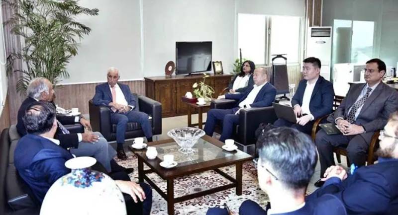 China to establish solar panel plant in Pakistan