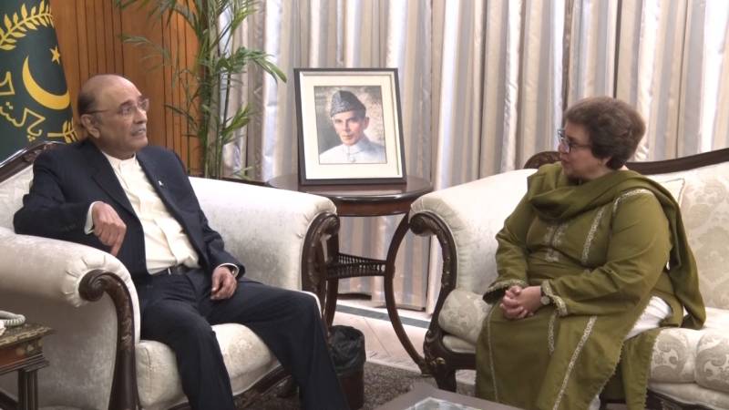 Ambassador Mariam Aftab calls on President Zardari