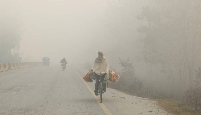 Air pollution deadlier than terrorism, Senate Climate Committee told
