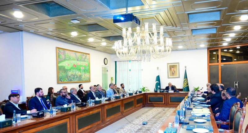 Ishaq Dar emphasizes quality and transparency in medical education in PAMI meeting