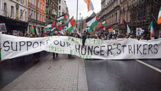 Palestine Action hunger strikers want UK government meeting