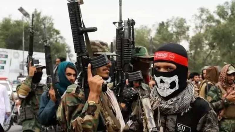 UN report says TTP attacks on Pakistan originating from Afghan soil