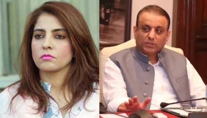 Heated exchange erupts between Aleem Khan and Senator Palwasha Khan in Senate Committee