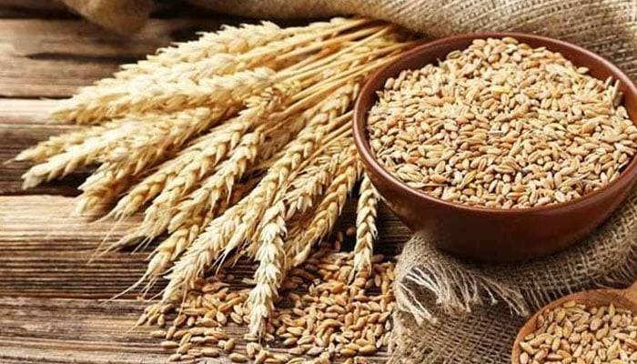 KP suspends eight bureaucrats over expired seed scandal