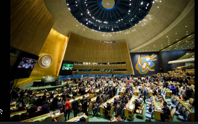 UN General Assembly adopts Pakistan resolution on self-determination right