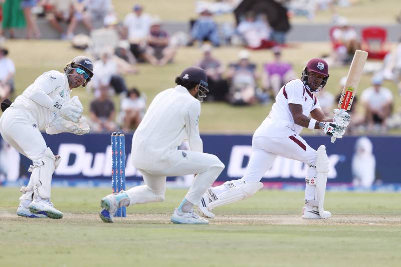 Dogged Hodge ton sees West Indies save follow-on against New Zealand