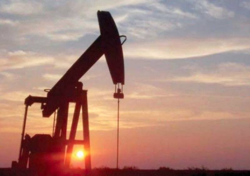 Punjab Energy Holding Co to get oil-gas block for exploration ‘sans bidding’