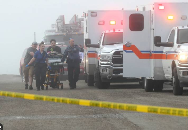Five killed after navy plane crashes off US coast