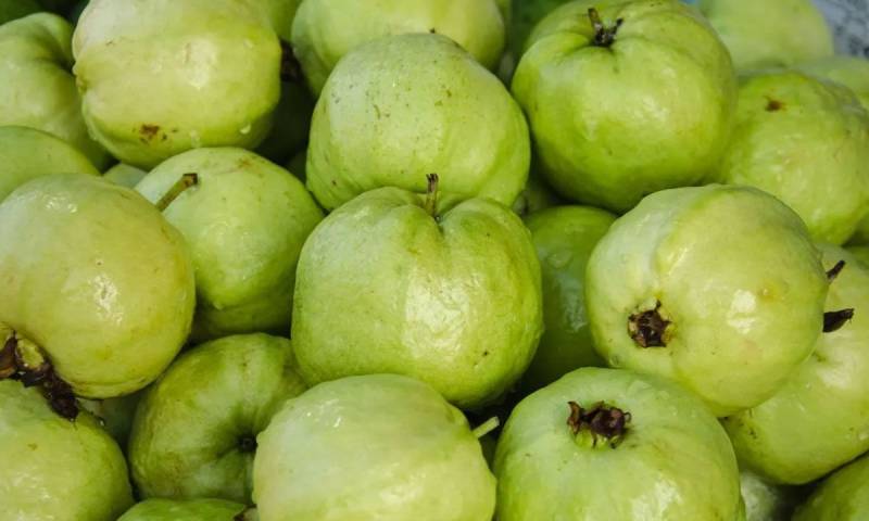 How to choose sweet and juicy guavas: Expert tips for the perfect fruit