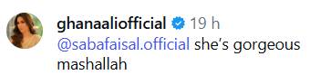 Fans confused as Saba Faisal wishes son and daughter‑in‑law happy 2nd anniversary 