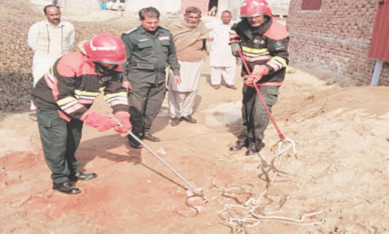 Panic grips area as 13 snakes found in Shakargarh house