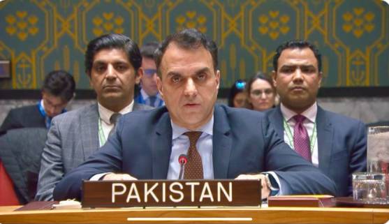 Pakistan fears forced displacement of Palestinians after Israel recognizes Somaliland