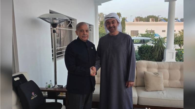 PM Shehbaz and UAE president discuss strategic ties, economic partnership