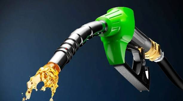 Big cut in petroleum products’ prices proposed