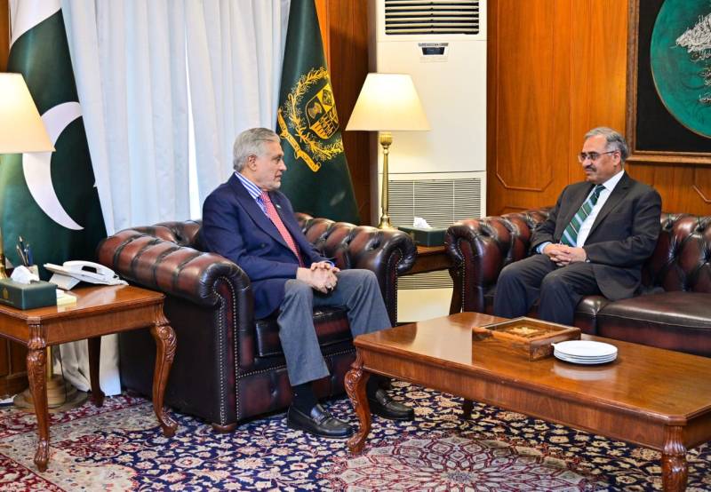 Deputy PM Ishaq Dar meets D-8 Secretary General-designate Sohail Mahmood