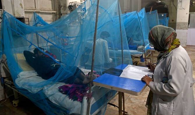 Sindh records high incidence of diseases in 2025 amid health challenges