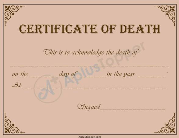 Doctors at Rawalpindi hospital issue death certificate of living newborn