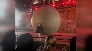 Heroic staffer blocks 400-pound runaway prop at US Disney theme park
