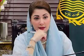 Punjab CM Maryam unveils plan to promote aquaculture, shrimp farming