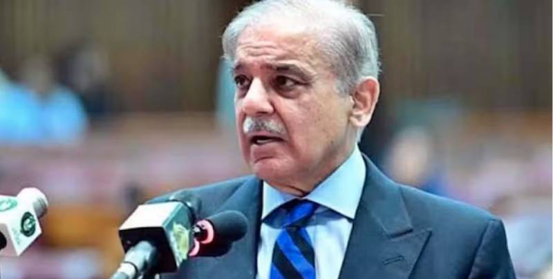 PM Shehbaz constitutes tax admin committee 
