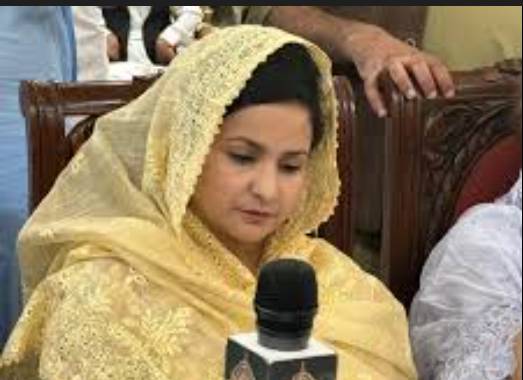 Two PTI workers arrested for targeting PML-N MPA 