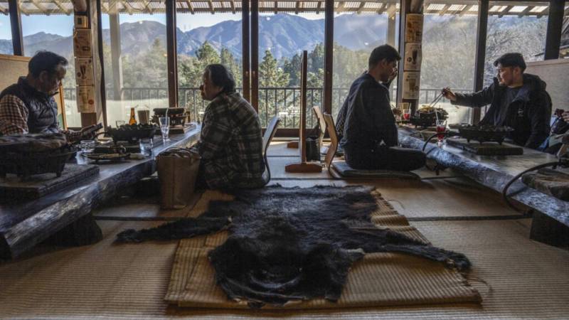 Funny old world: the week's offbeat news