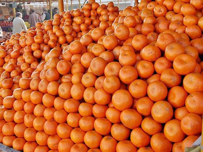 Federal government allows kinnow, potato exports following Punjab CM’s special efforts