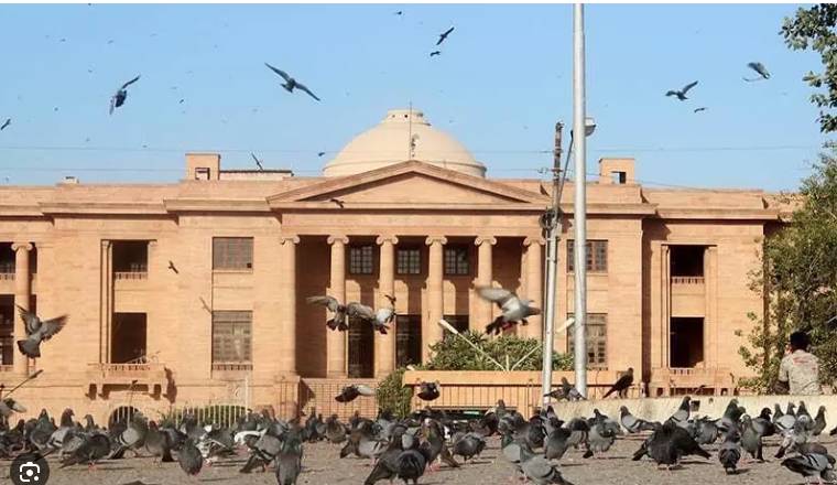 Ban on Qingqi routes challenged in SHC