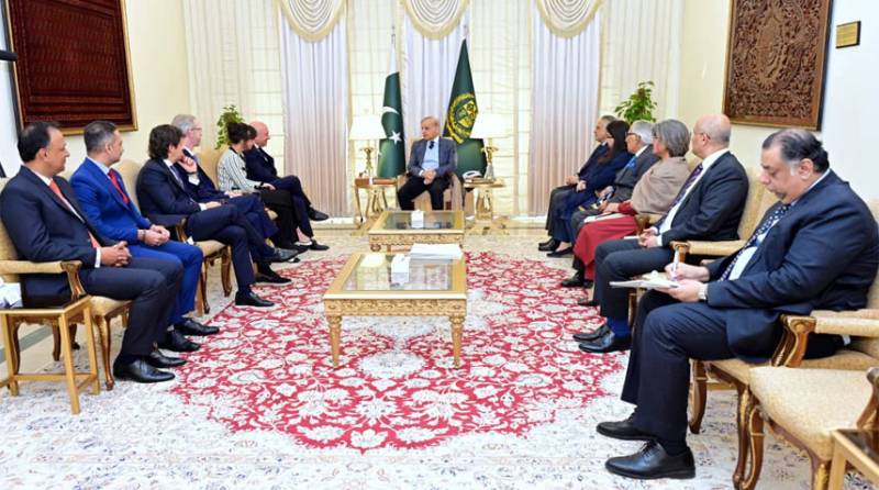 PM Shehbaz reaffirms commitment to support foreign investors