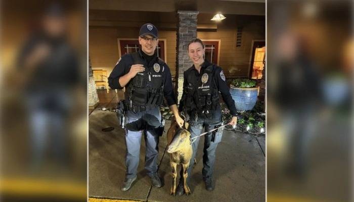 US police ‘arrest’ goat after it tries to enter old-age home