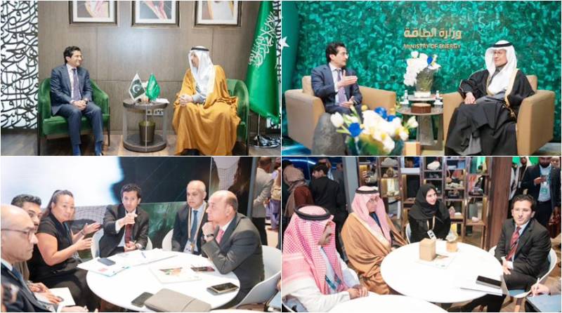 Pakistan possesses diverse mineral potential: Ali Pervaiz tells Saudi investors 