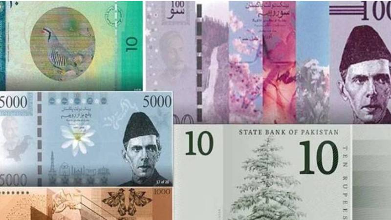 Cabinet panel to give recommendations on new currency notes