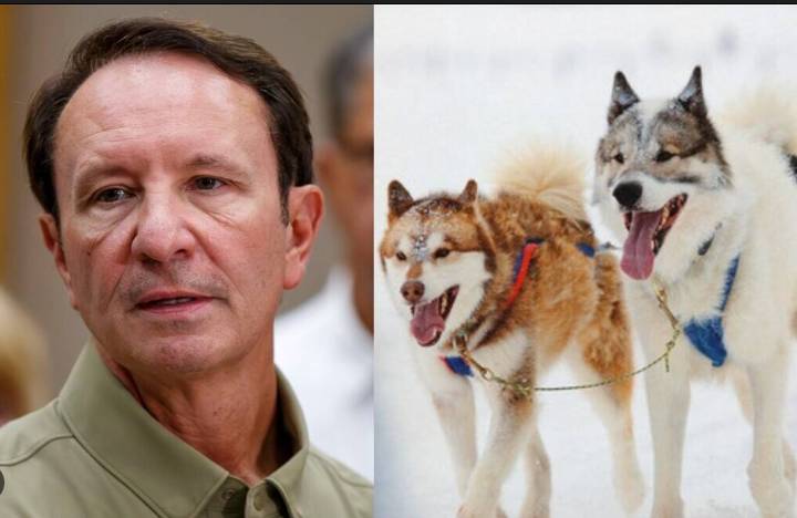 Trump envoy thrown out of Greenland dog race