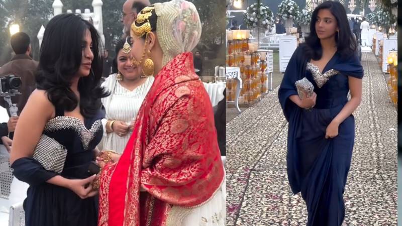 Sonya Hussyn rides viral wave of Hina’s brother after saree show-off