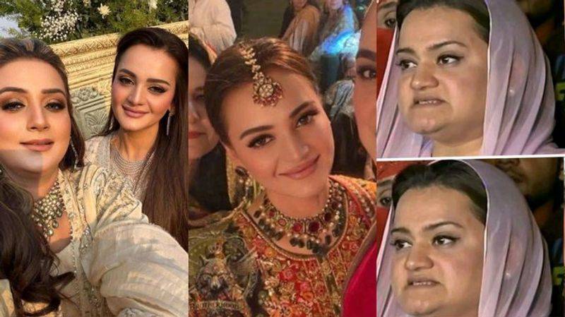 Celebrities take a stand for Marriyum Aurangzeb