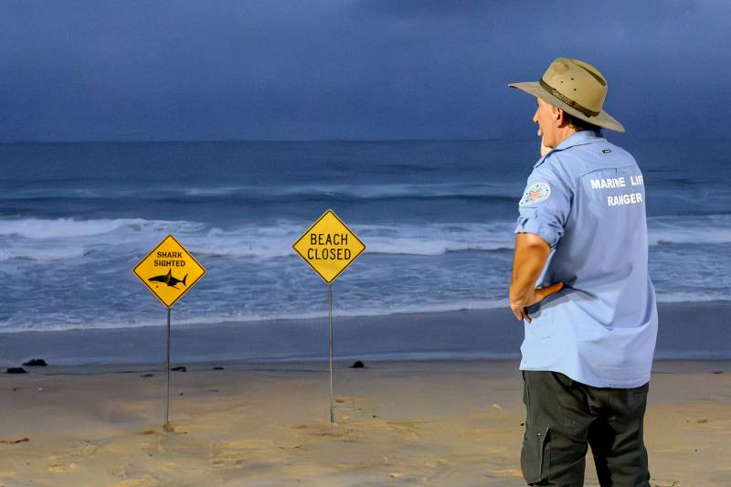 Shark bites surfer in Australian state's fourth attack in 48 hours