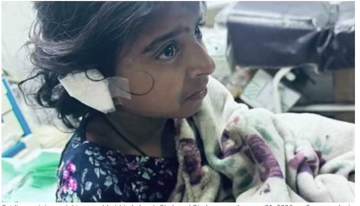 Lahore police arrest owners of lioness who attacked girl, seize 11 beasts
