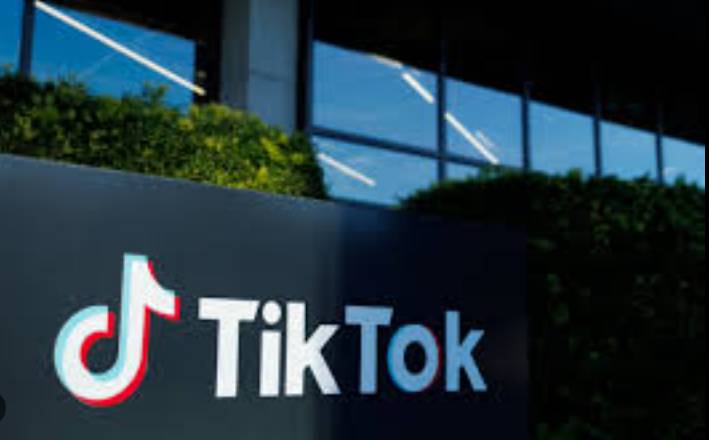 Court pauses government order shutting TikTok's Canada offices