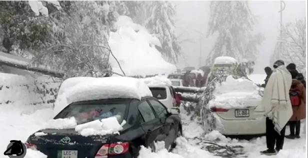 Relief operation in KP to help residents in heavy snowfall areas 