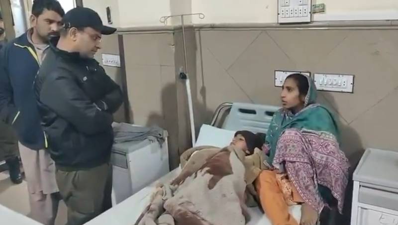 Another child injured in lion attack in Lahore