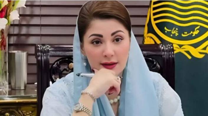 Punjab govt plans laying electricity cables underground to avoid incidents
