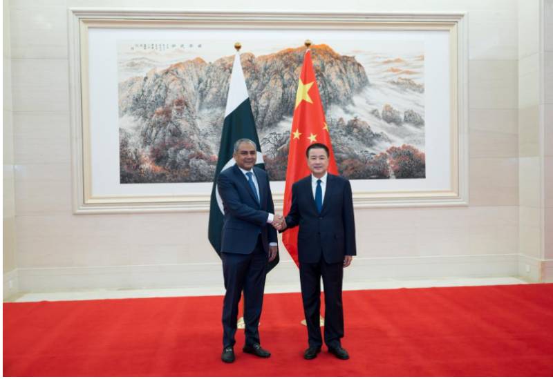 Ministry constitutes joint working group to enhance Pak-China coordination