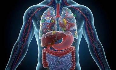 How to assess microplastics in our bodies? Scientists have a plan