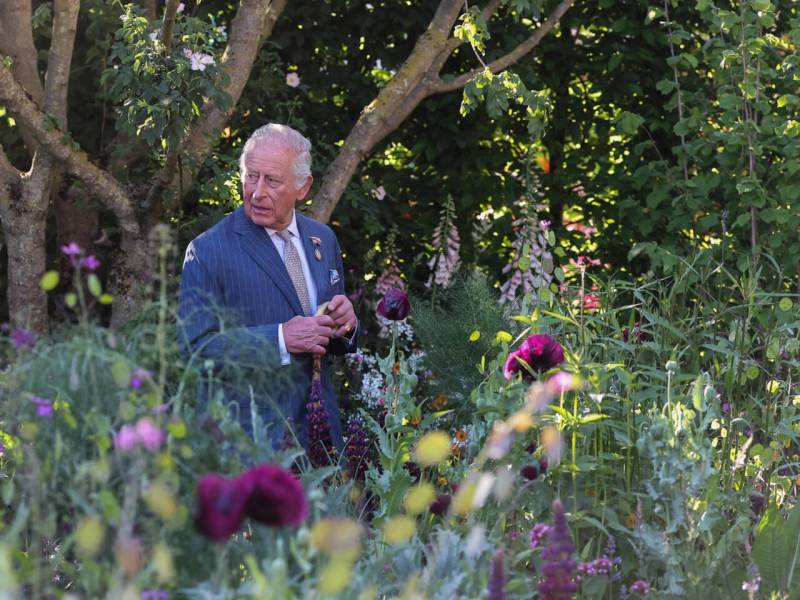 King Charles III warns world 'going backwards' in climate fight