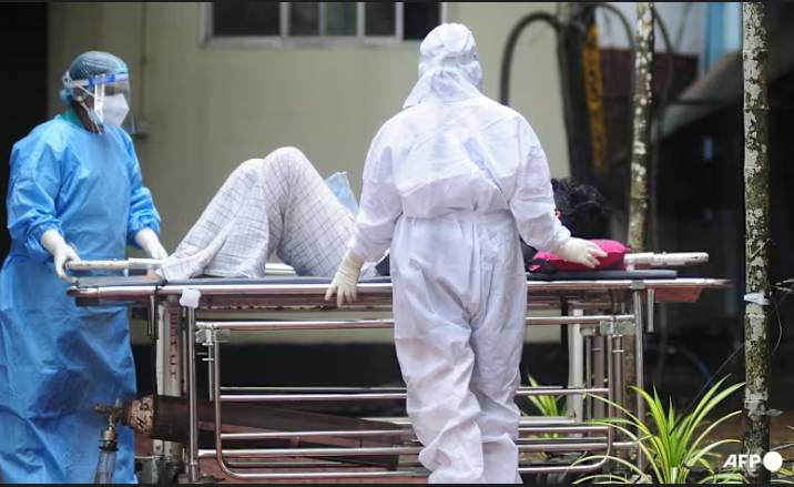 India says two Nipah virus cases, but situation contained