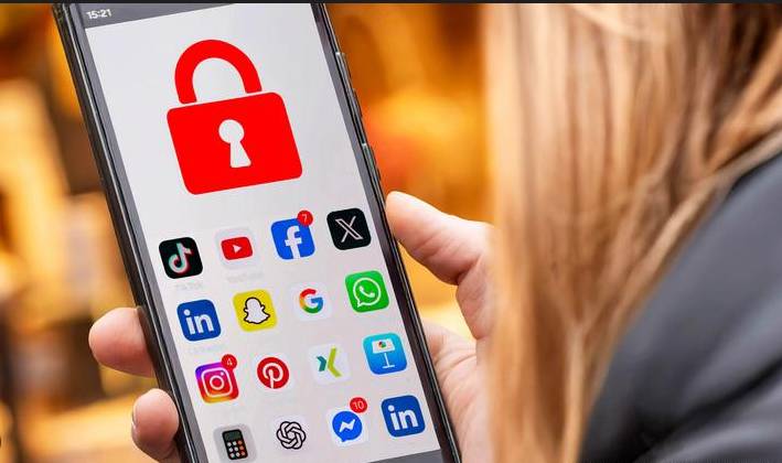 LHC seeks govt’s reply on plea seeking ban on social media for young children