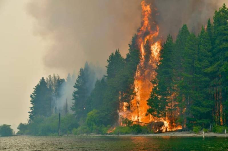 Argentina declares emergency over Patagonia wildfires
