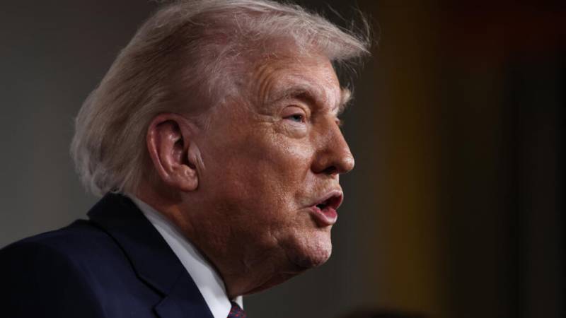 Trump brands Minneapolis nurse shot dead by federal agents an 'agitator'